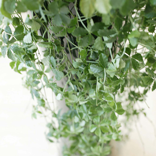 オブ ネイル＆アイラッシュ　自由が丘west店